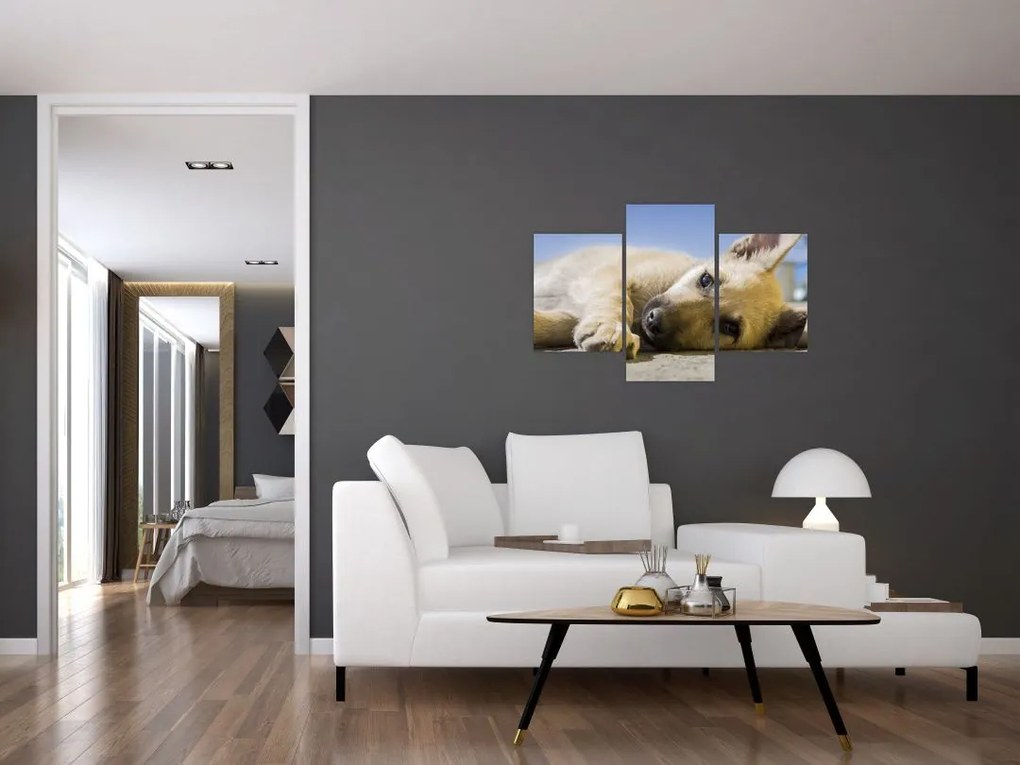 Tablou cu cățeluș dormind (90x60 cm)