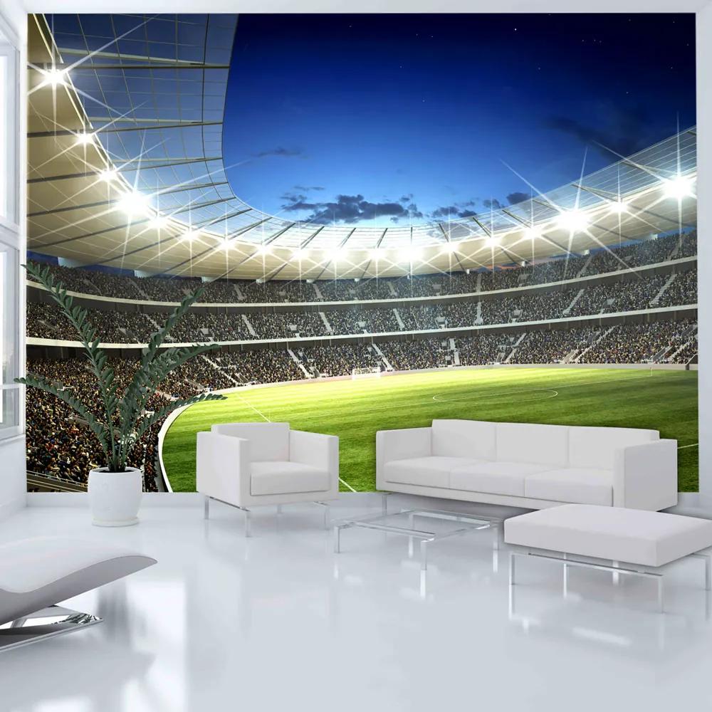 Fototapet Bimago - National stadium + Adeziv gratuit 200x154 cm