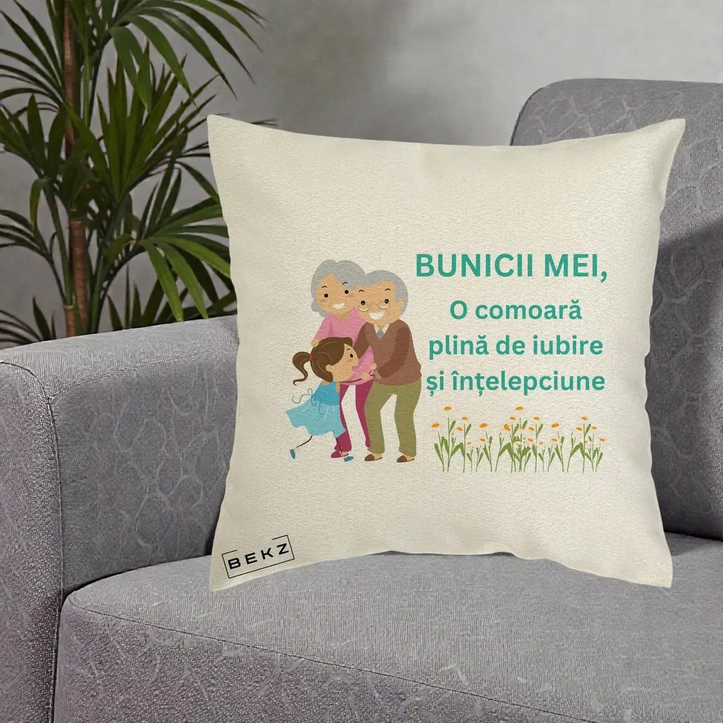 Cadou pentru Bunici - Perna Personalizata Bunicii Mei Comoara Iubire Intelepciune Nepoata, 40x40 cm, Ecru, Husa Detasabila, Perna Inclusa, BEKZ®