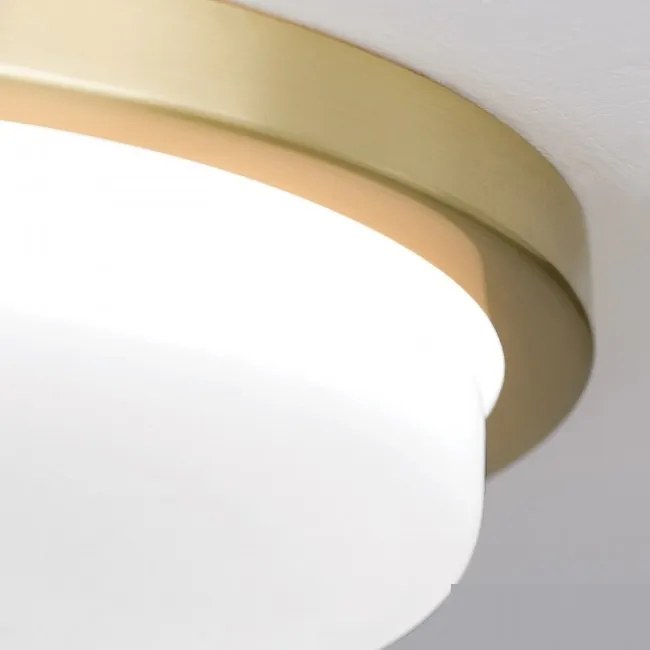 Plafoniera LED moderna LEROX 30cm alama mat