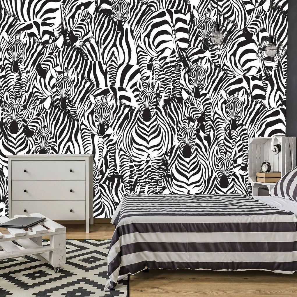Fototapet - Zebra (254x184 cm)