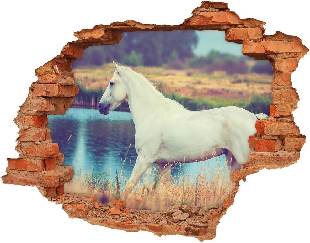 Autocolant de perete gaură 3D White Lake Horse
