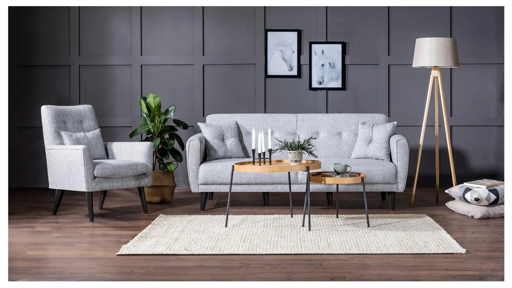 Set canapea fotoliu Aryanna (Gri). 1101491