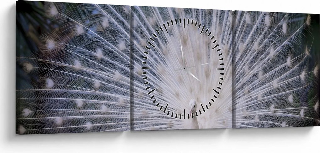 Tablou - Păun alb (cu ceas) (90x30 cm)