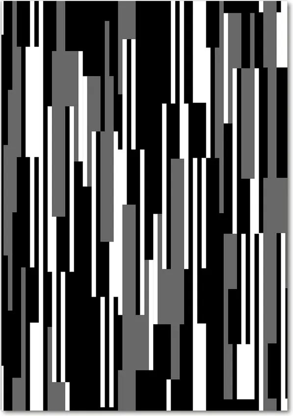 Tablou din Sticlă Linii negre și albe