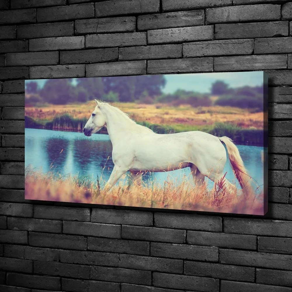 Tablou canvas White lake horse