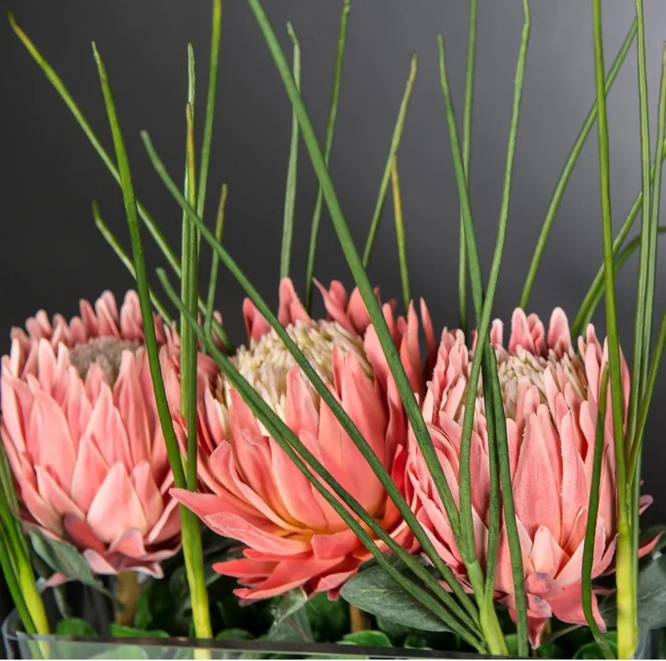 Aranjament floral decor festiv design LUX RECTANGULAR VASE PROTEA