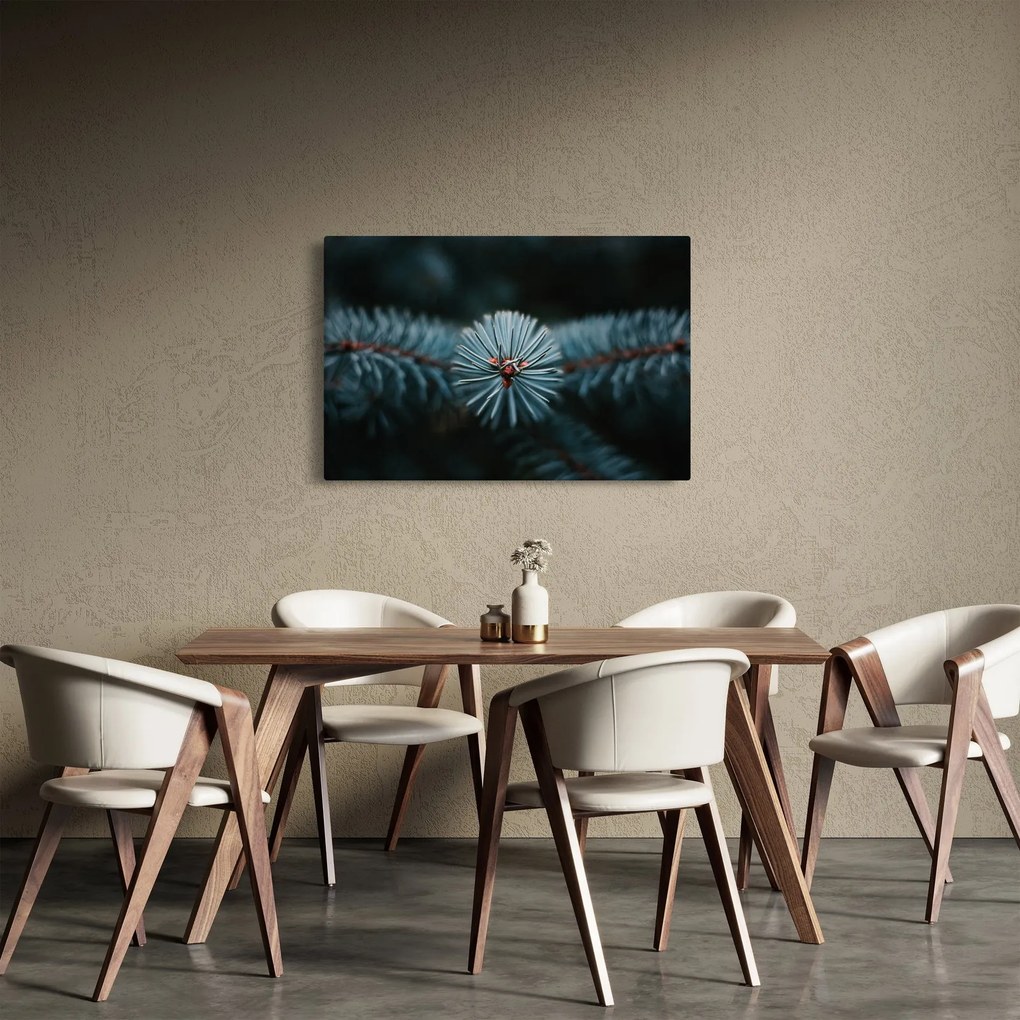 Tablou -Crenguțe ale unui conifer (90x60 cm)
