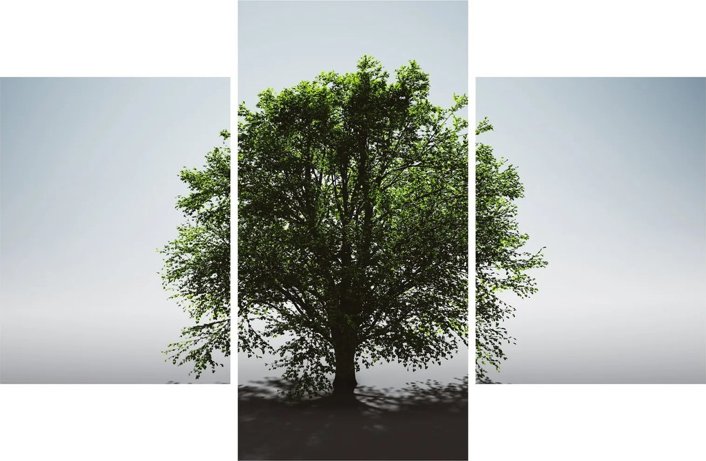Tablou - Copacul singuratic (90x60 cm)