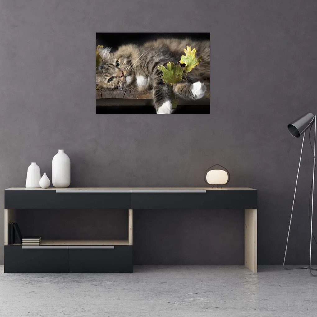 Tablou - Pisica mincinoasă (70x50 cm)