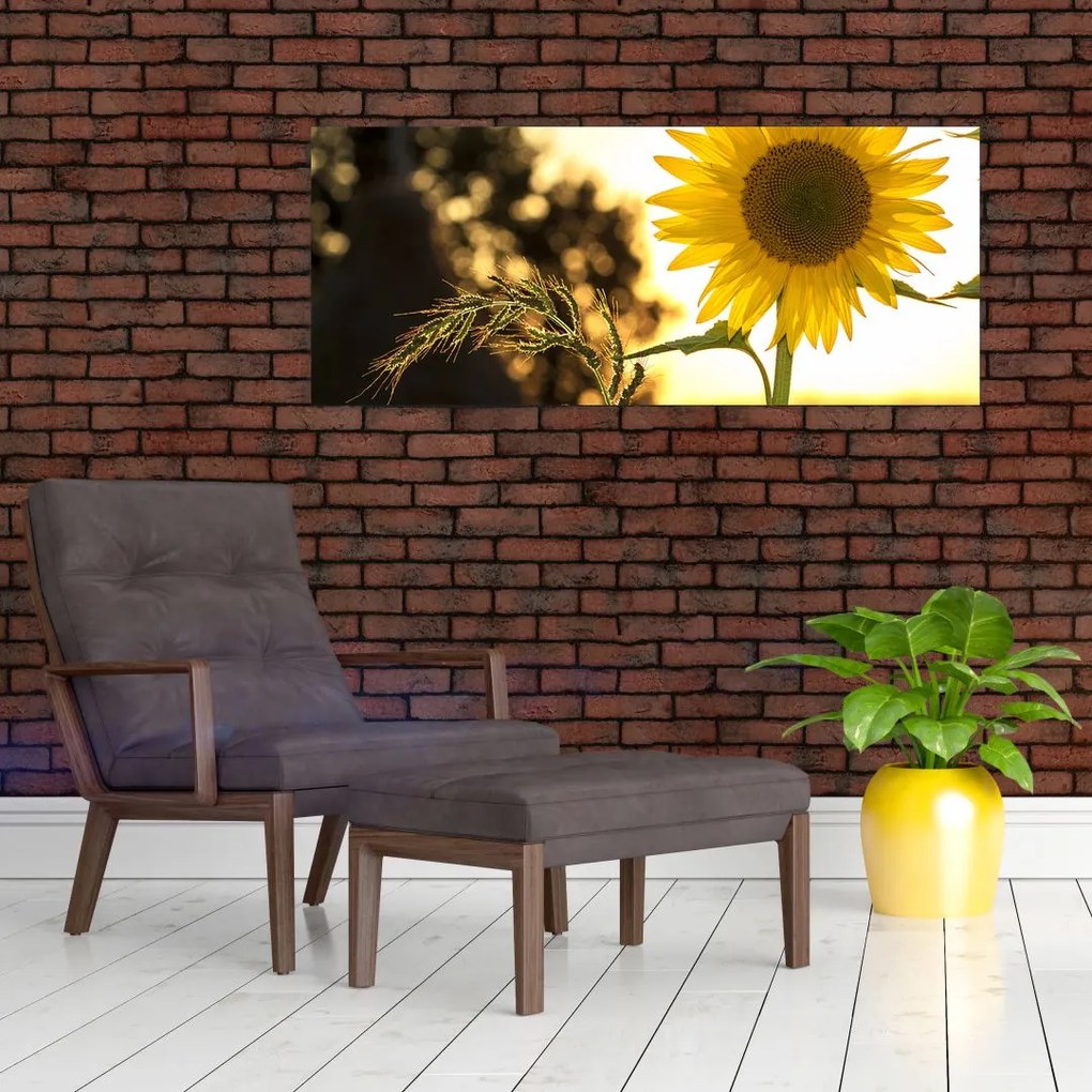 Tablou cu floarea soarelui (120x50 cm)