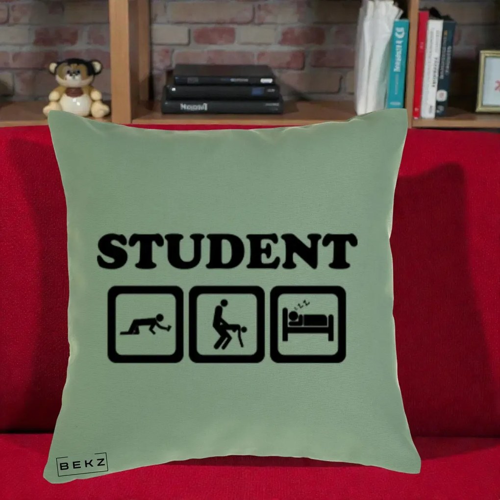Perna Decorativa Student Life, 40x40 cm, Verde, Husa Detasabila, Perna Inclusa, BEKZ®
