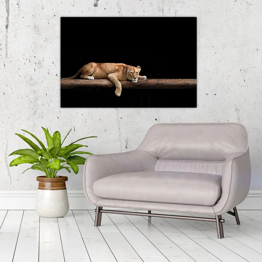 Tablou - Lioness (90x60 cm)