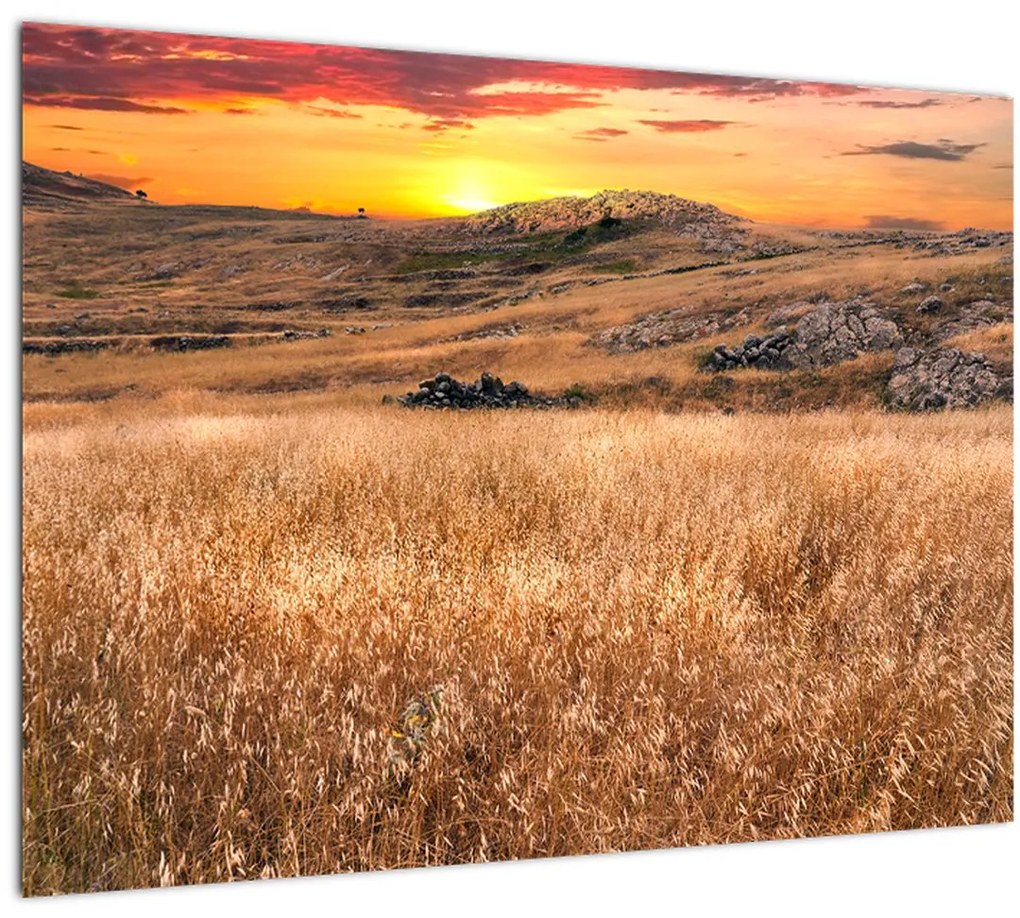 Tablou cu câmp (70x50 cm), în 40 de alte dimensiuni noi