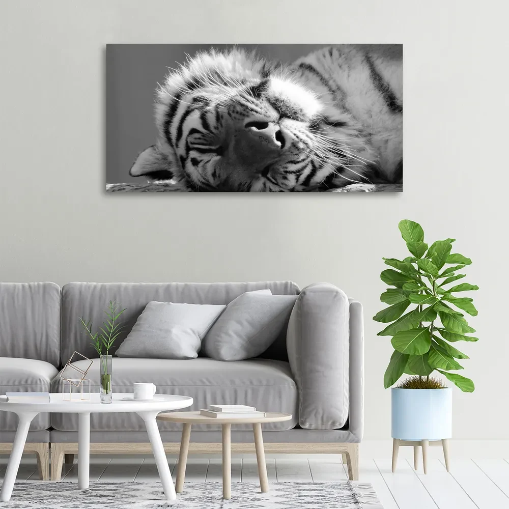 Tablou pe pânză canvas Dormit tigru