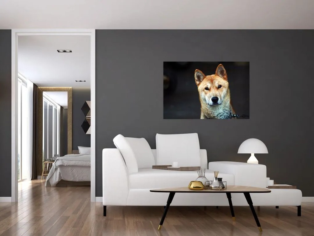 Tablou cu câine (90x60 cm)