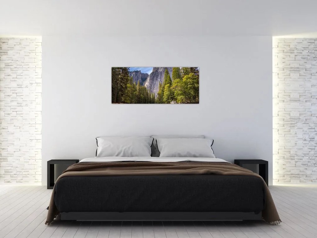 Tablou cu stânci (120x50 cm)