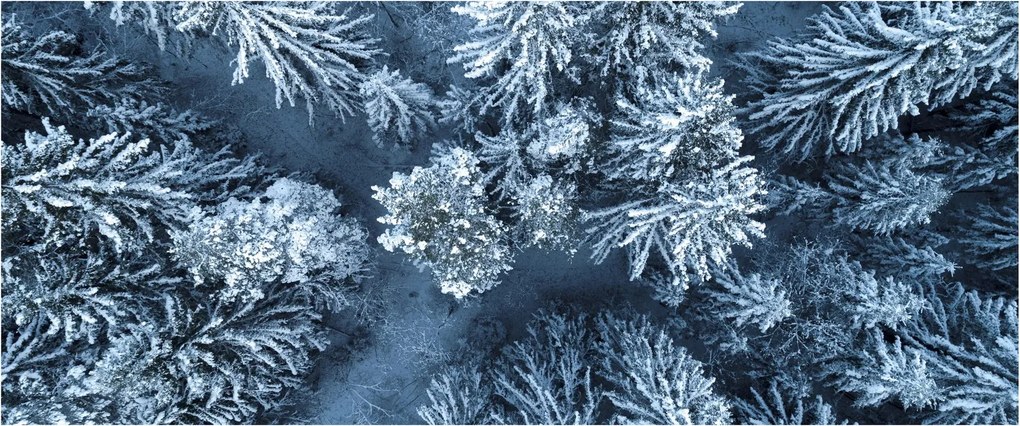 Tablou - Pădure înzăpezită (120x50 cm)