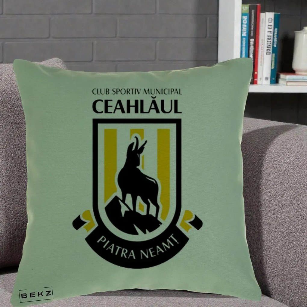 Perna Personalizata CSM Ceahlaul Piatra Neamt Fotbal, 40x40 cm, Verde, Husa Detasabila, Perna Inclusa, BEKZ®