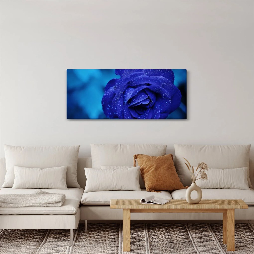 Tablou cu trandafir albastru (120x50 cm)