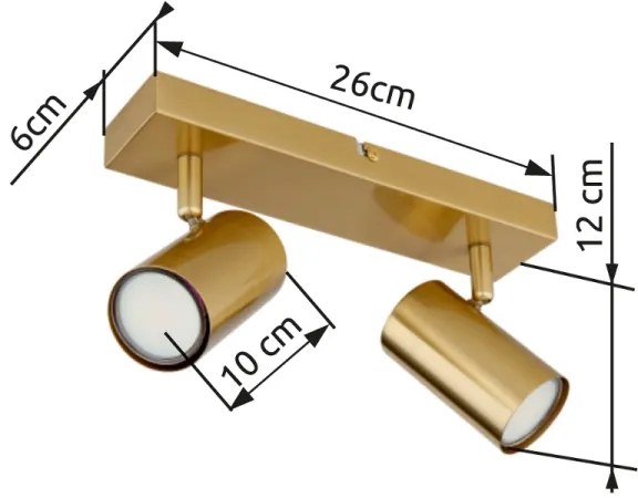 Spot Globo 57911-2GO ROBBY 2xGU10/35W/230V