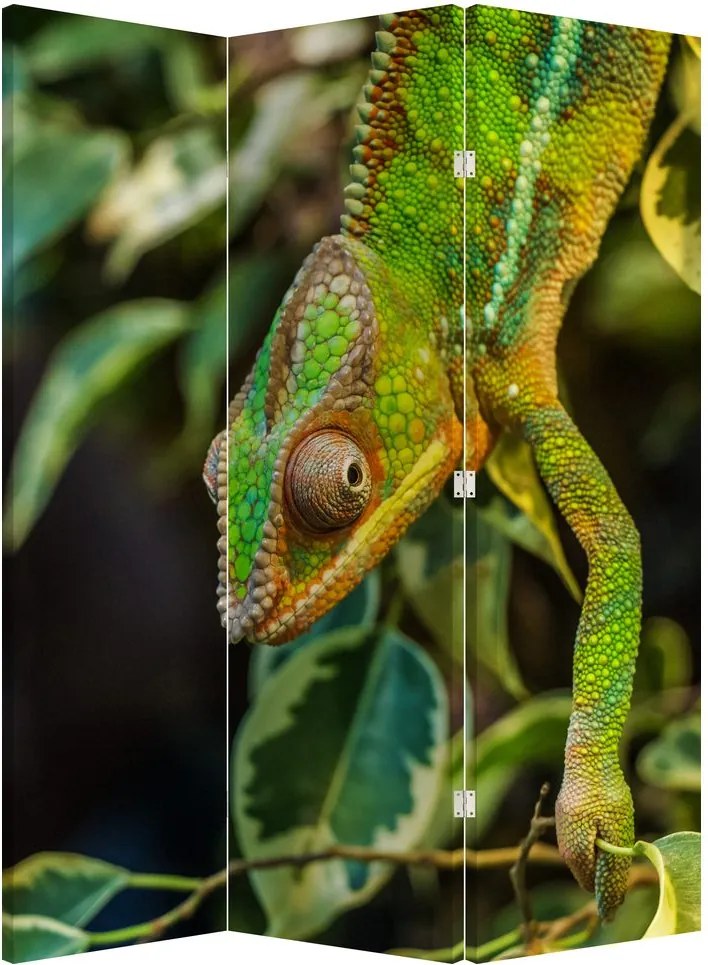 Paravan - Cameleon (126x170 cm)