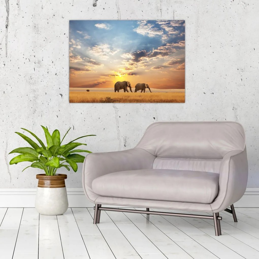Tablou - Elefanți rătăcind în savană (70x50 cm)