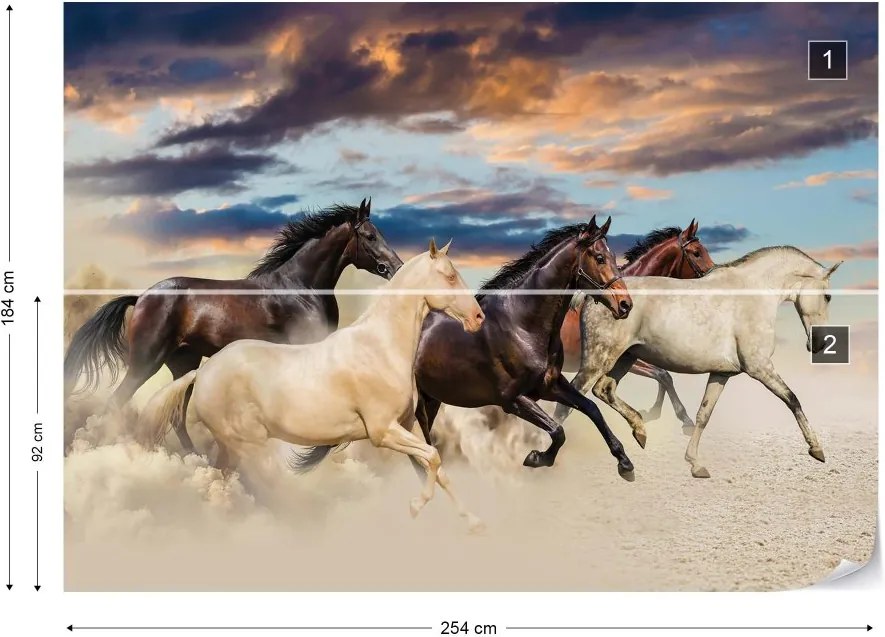 GLIX Fototapet - Galloping Horses Vliesová tapeta  - 254x184 cm