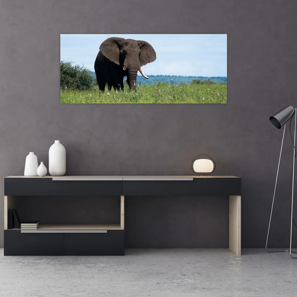 Tablou cu elefant (120x50 cm), în 40 de alte dimensiuni noi