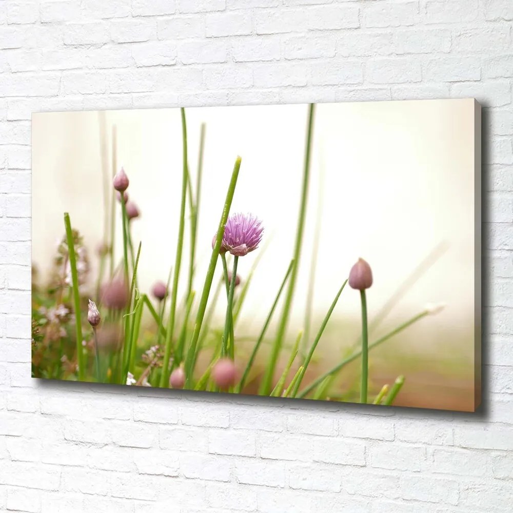 Tablou canvas Arpagic