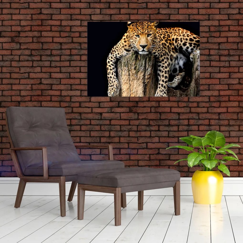 Tablou - Ghepard (90x60 cm)