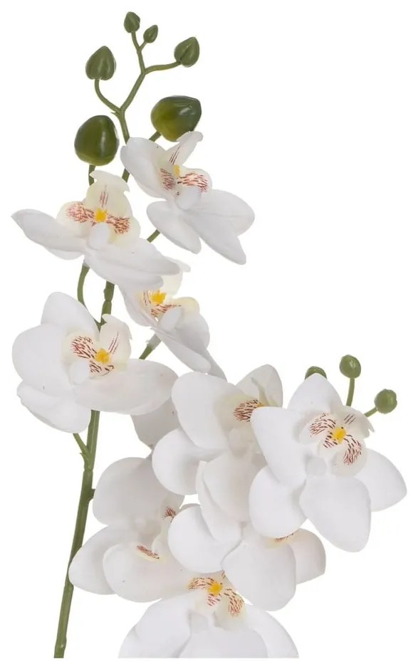 Plantă artificială (înălțime 39 cm) Orchid – Casa Selección