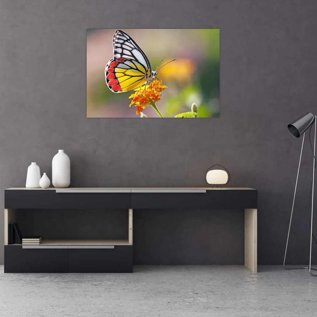 Tablou - Fluture pe floare (90x60 cm)