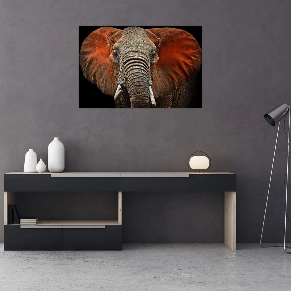 Tablou - Elefanți cu Tsavo (90x60 cm)