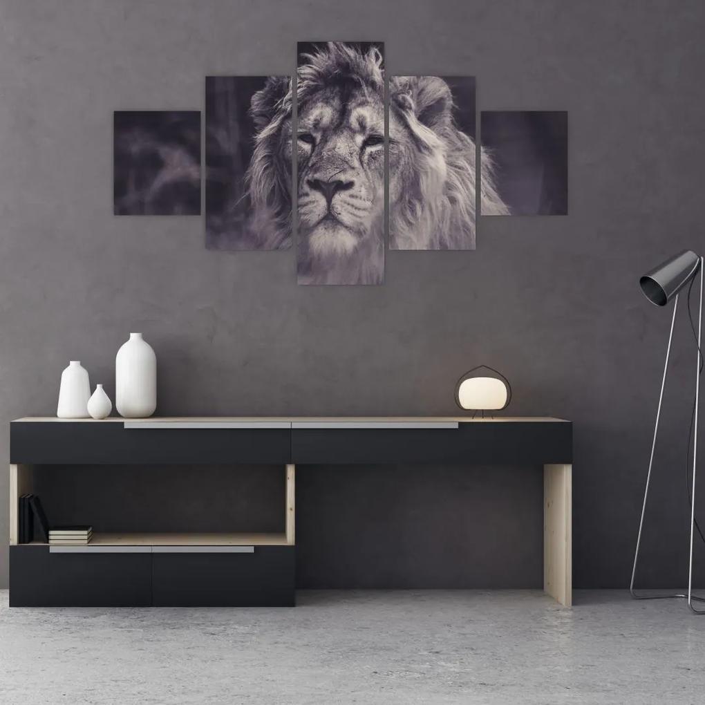 Tablou cu leu (125x70 cm), în 40 de alte dimensiuni noi