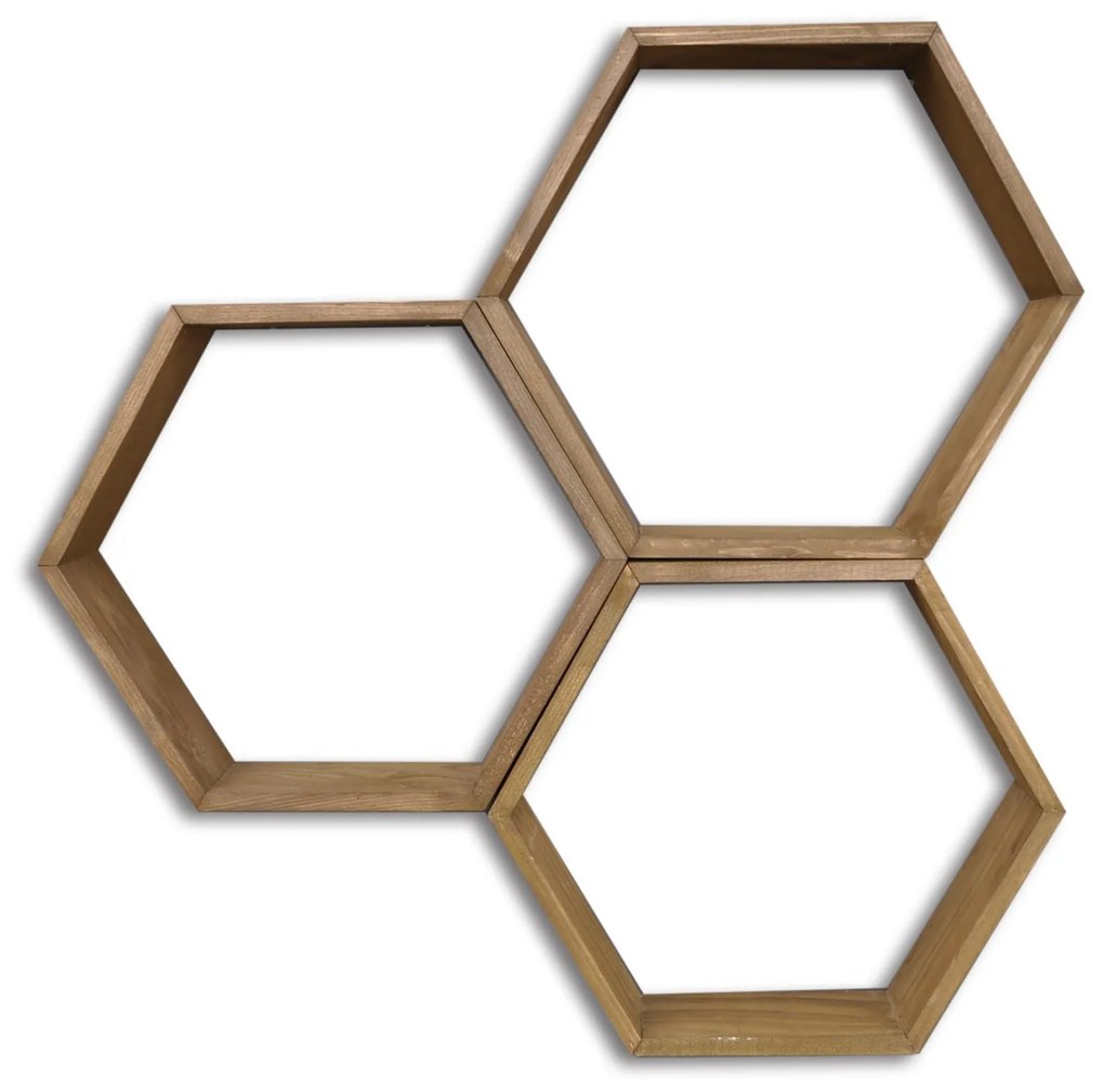 Raft Lunole 1 (Nuc) . 1096051