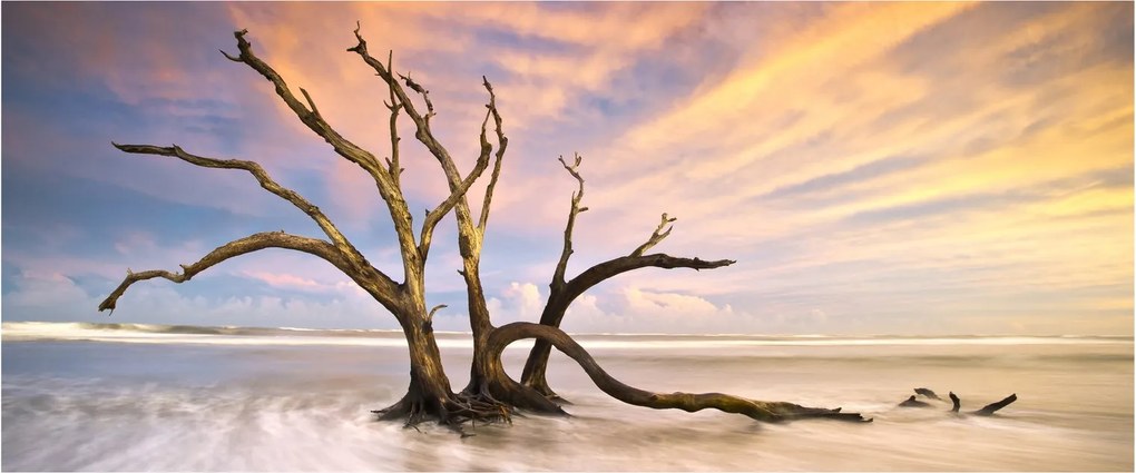 Tablou - Copacul în ocean (120x50 cm)