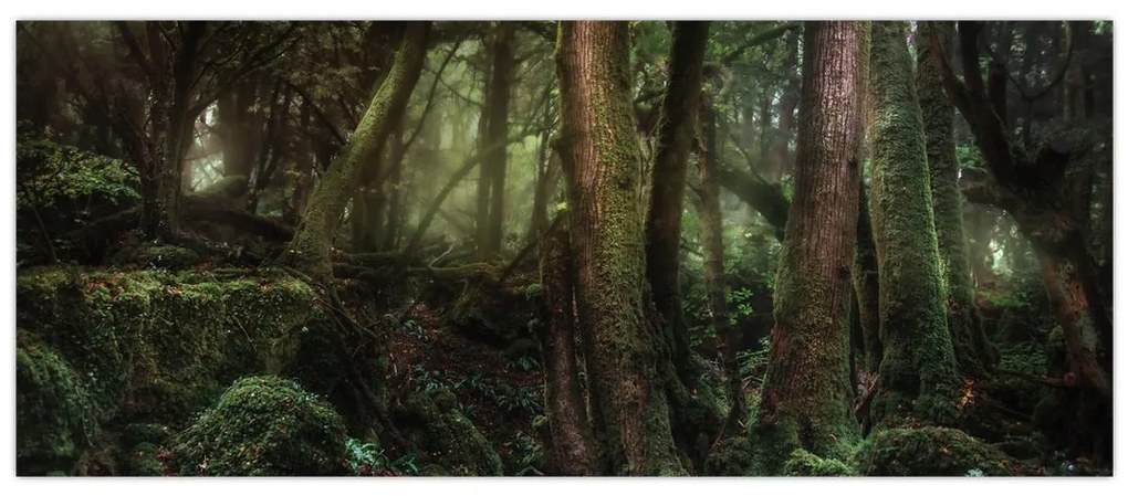 Tablou - Pădurea enigmatică (120x50 cm)