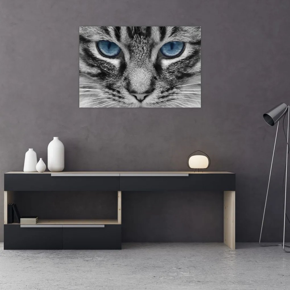 Tablou cu pisica (90x60 cm)