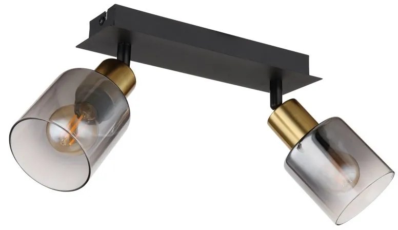 Aplica 2L design modern Hollsy negru, auriu