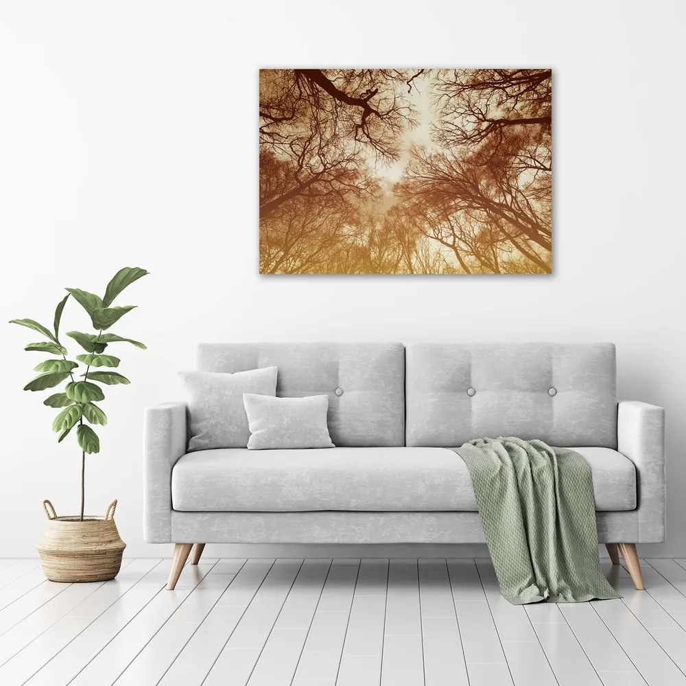 Print pe canvas Pădure