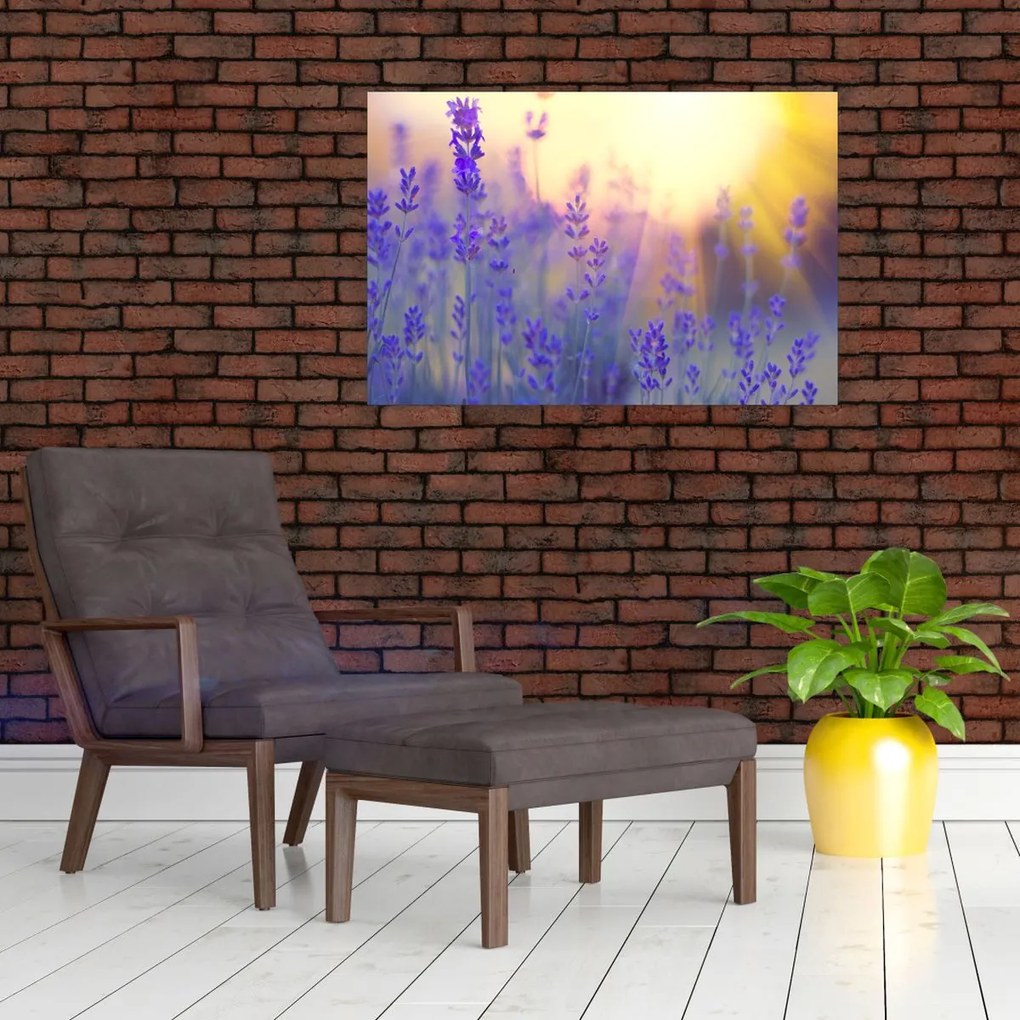 Tablou - Levănțică (90x60 cm)