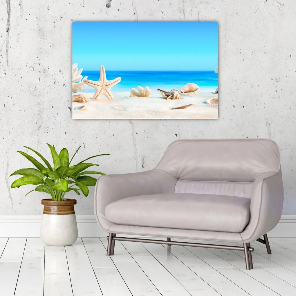 Tablou - Natura morta cu scoici (90x60 cm)