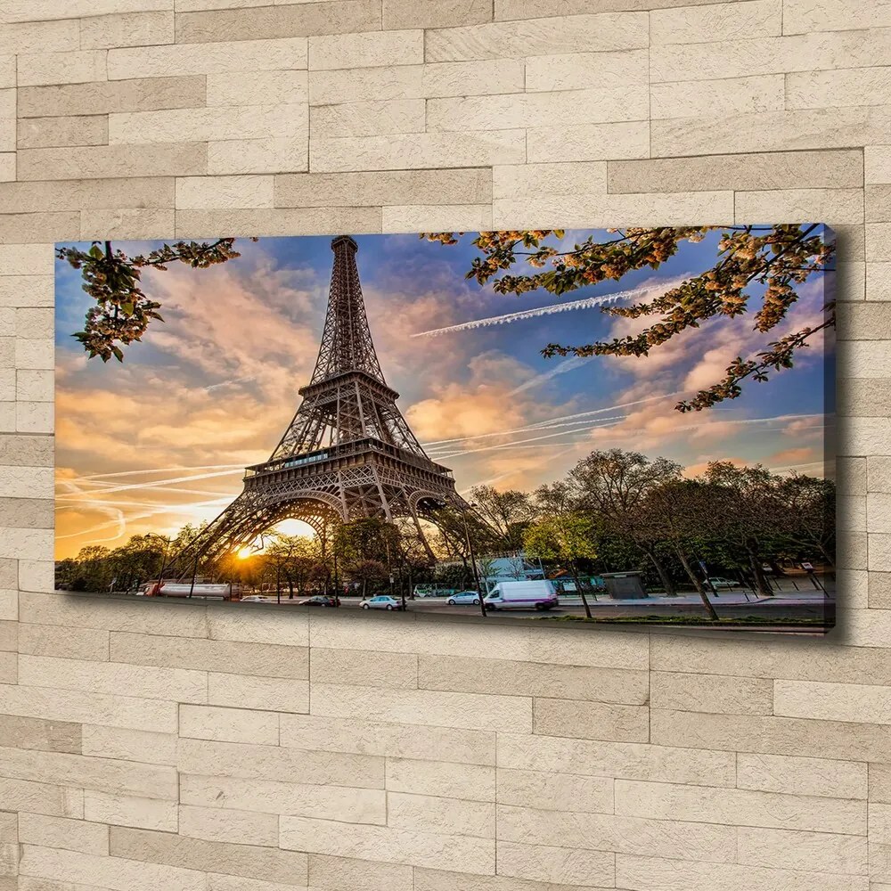 Tablou pe pânză canvas Turnul eiffel din paris