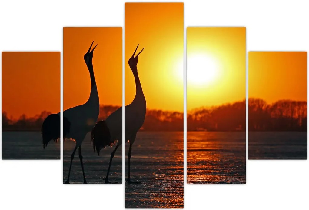 Tablou cu păsări în apus de soare (150x105 cm)
