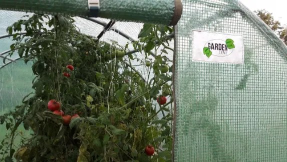 Solar de grădină 2,5x4m cu filtru UV PROFI Garden