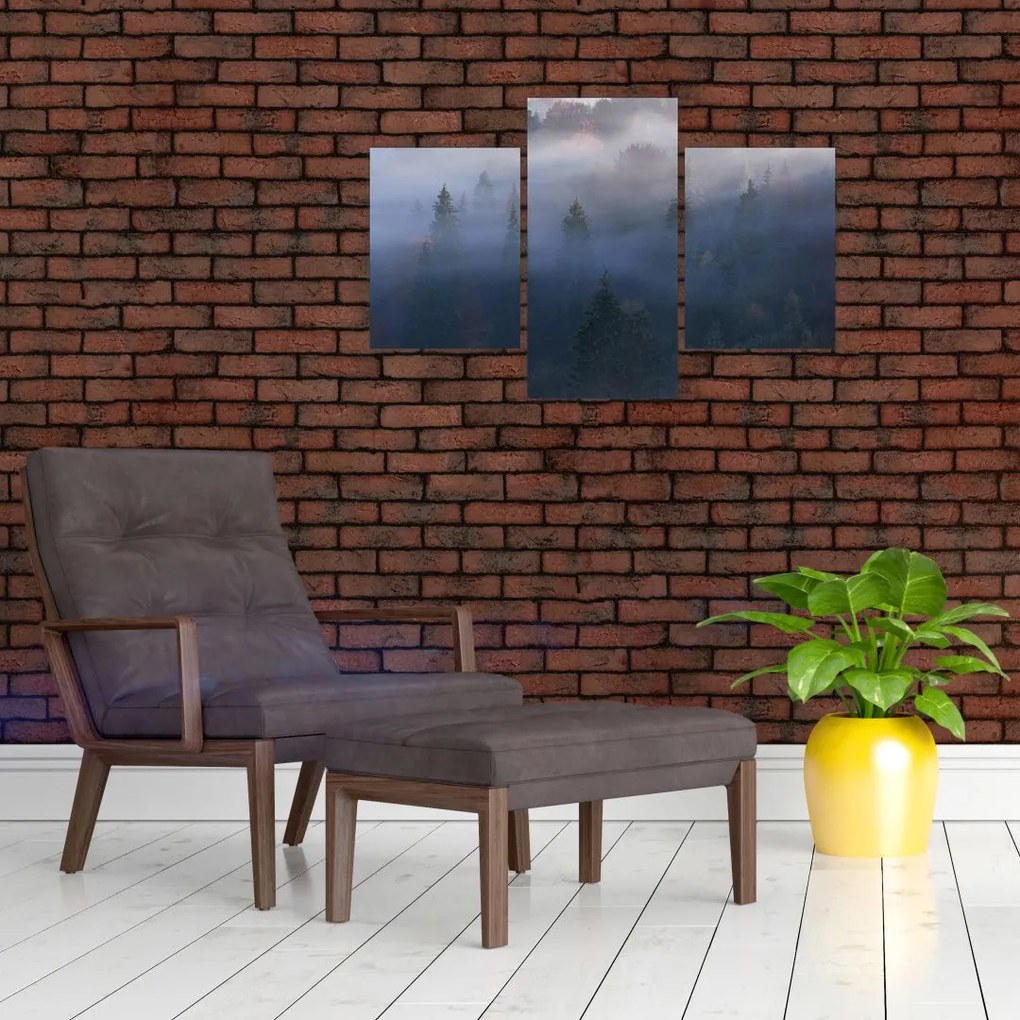 Tablou - Pădure în ceță, Carpați, Ucraina (90x60 cm)