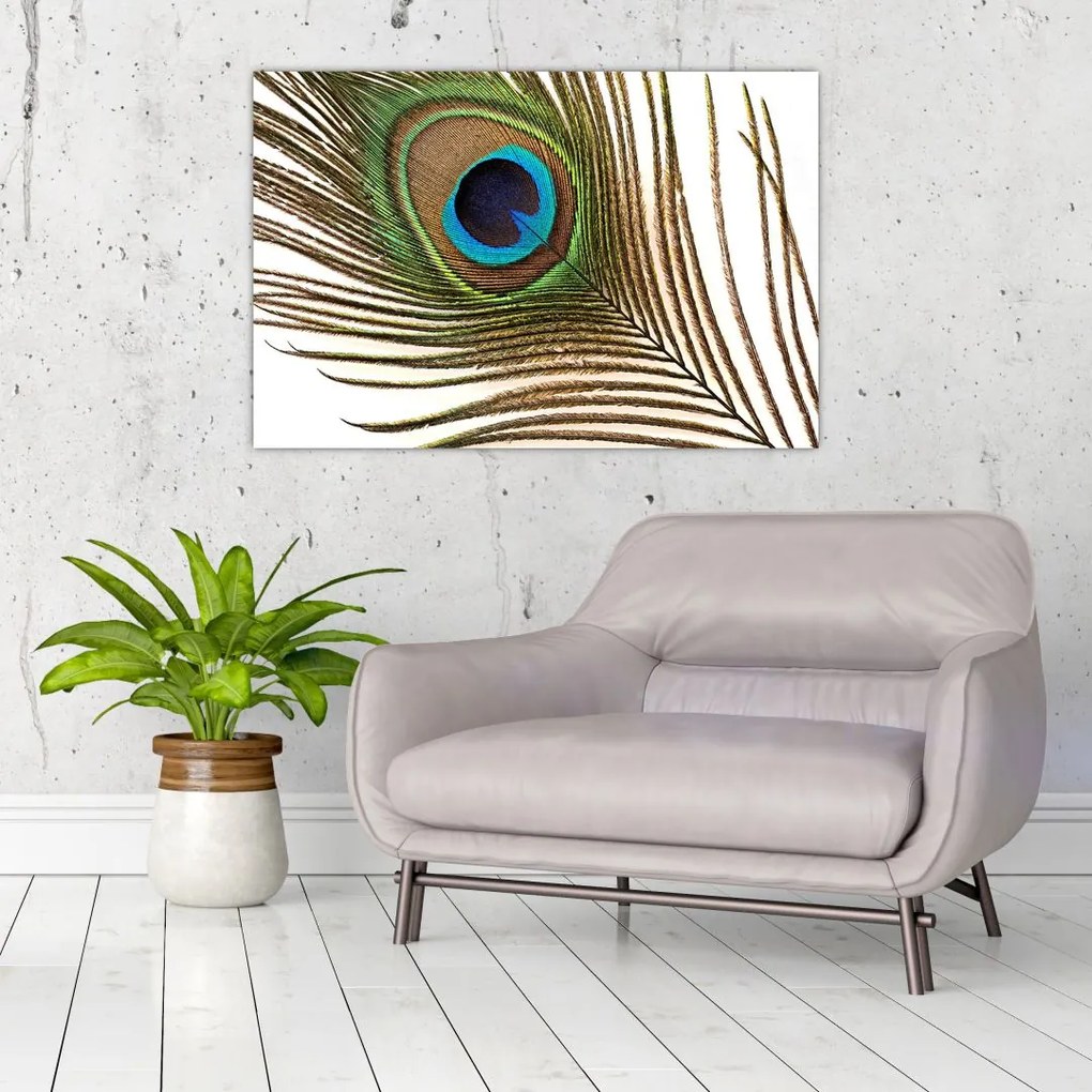 Tablou cu pene de păun (90x60 cm)