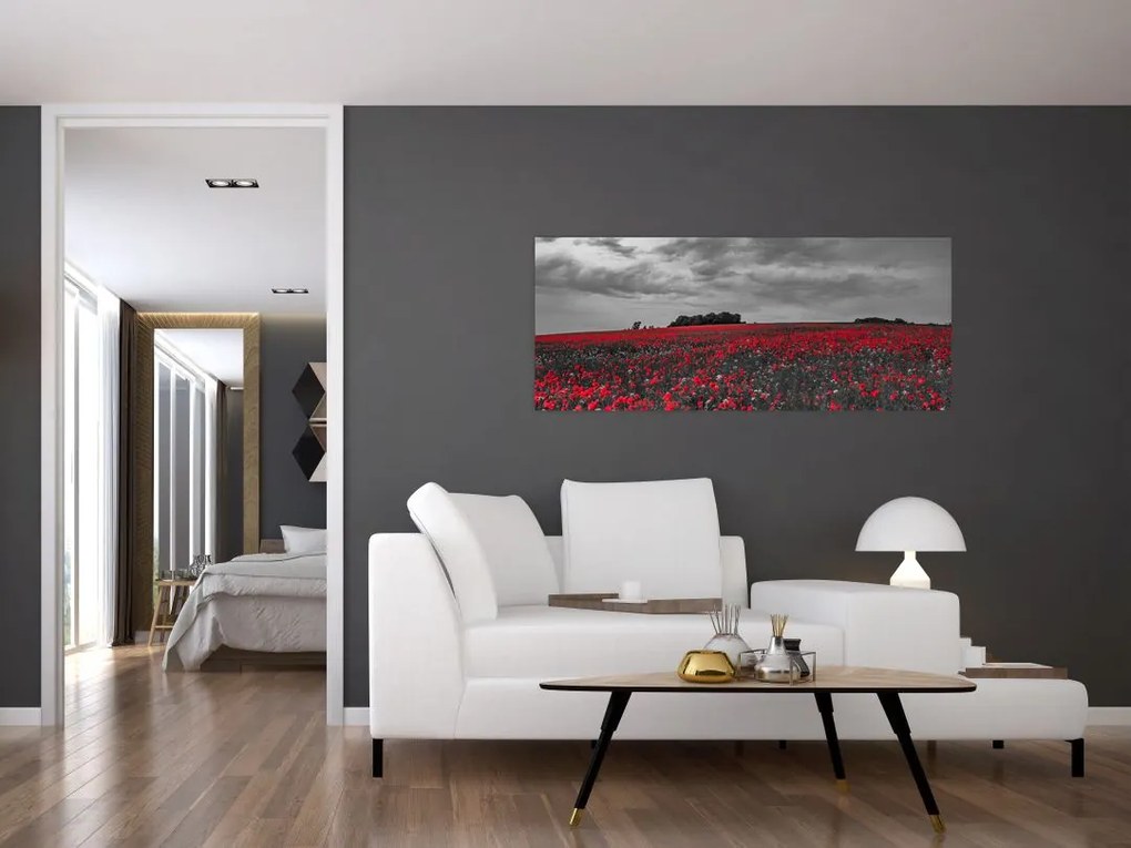 Tablou cu maci (120x50 cm)