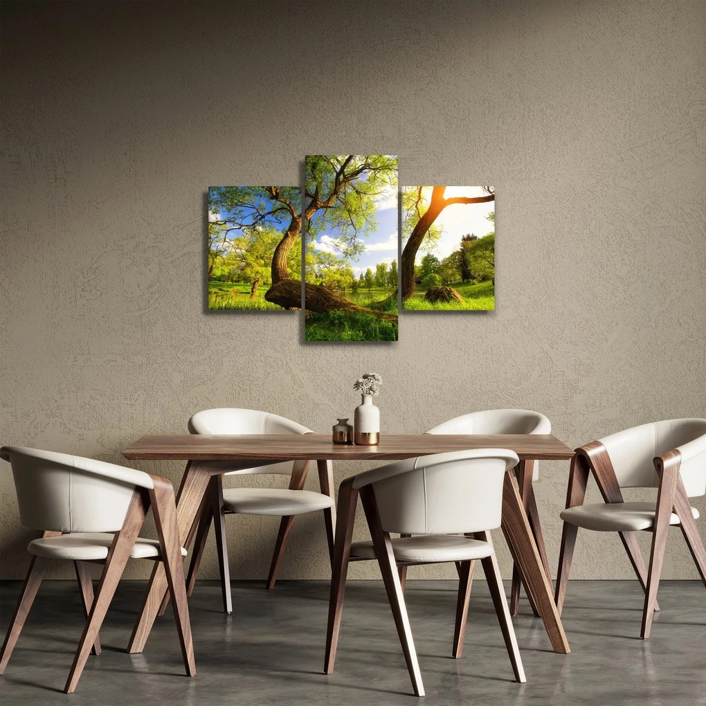 Tablou lunca ne primăvară (90x60 cm)
